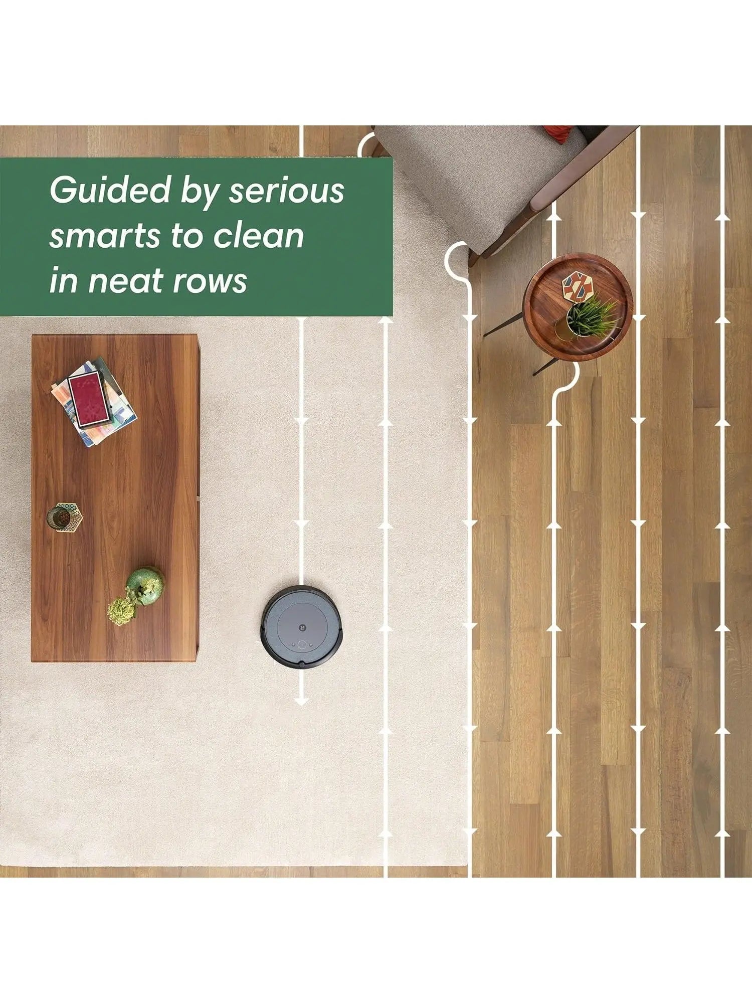 Self-Emptying Robot Vacuum with Smart Mapping for Pet Hair and Carpets, 60-Day Auto Empty